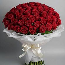 Букет 101 Красная роза Блэк Мэджик в Кандрах