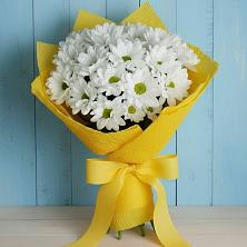 Букет цветов из:  Хризантемы в Кандрах