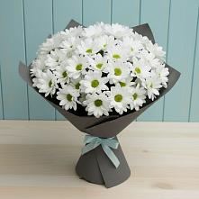 Букет цветов из:  Хризантемы #REPLACE_PRED# Кандрах