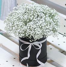 Цветочная композиция из Гипсофила в шляпной коробке #REPLACE_PRED# Кандрах