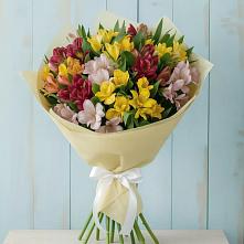 Букет цветов из:  Альстромерии в Кандрах
