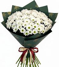 Букет цветов из:  Хризантемы #REPLACE_PRED# Кандрах