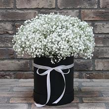 Цветочная композиция из Гипсофила в шляпной коробке в Кандрах