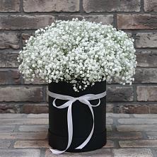 Цветочная композиция из Гипсофила в шляпной коробке в Кандрах