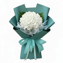 Букет цветов из:  Гортензия в Кандрах